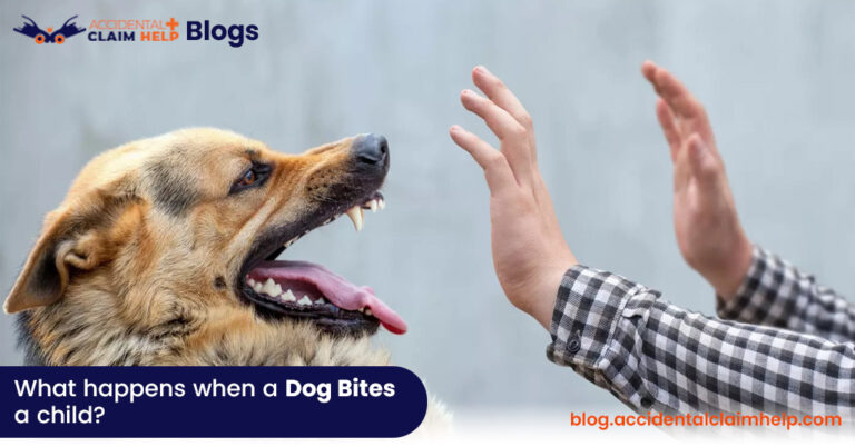 What Happens When a Dog Bites a Child
